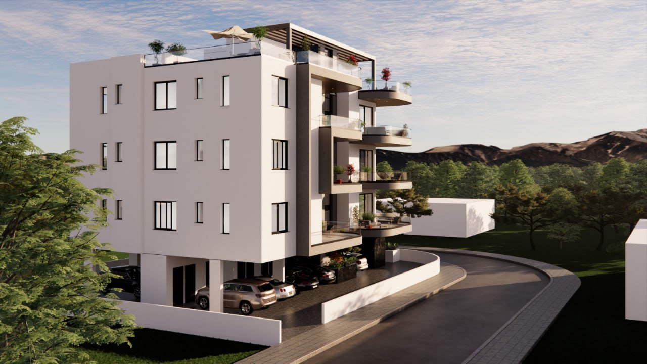 Palms 2
