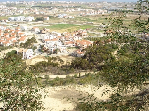 Forest Park