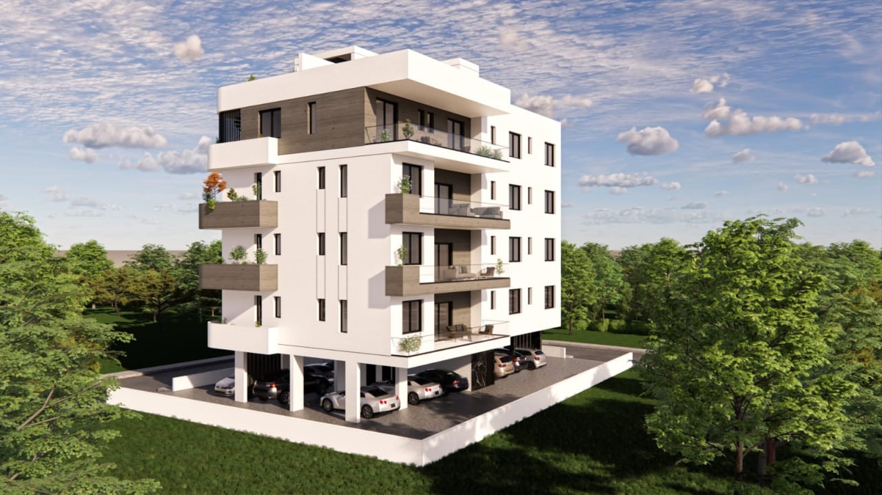 Palms 1