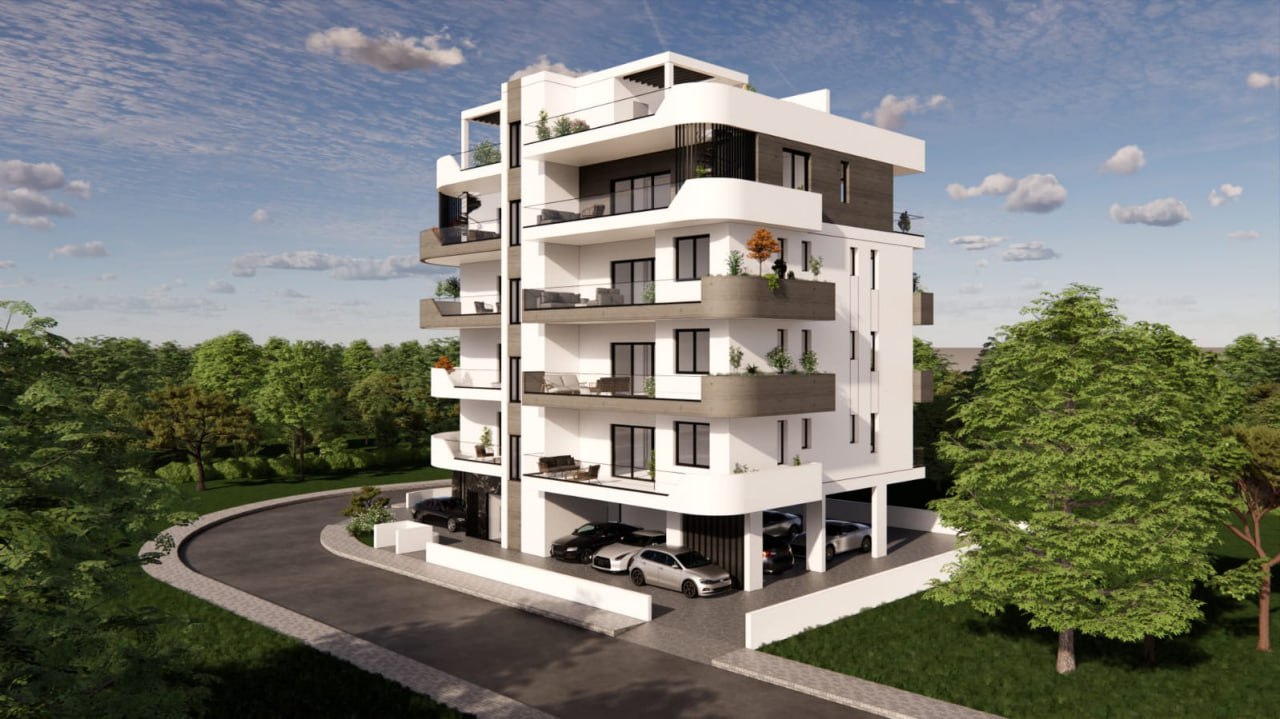 Palms 1