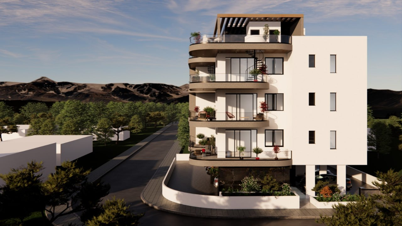 Palms 2