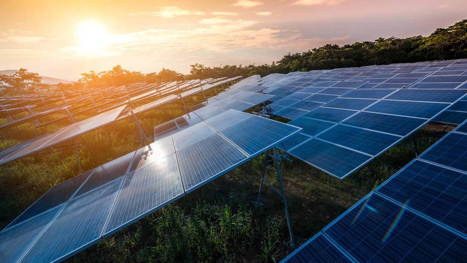 Solar Energy in Cyprus: How It Is Changing the Island and Your Life