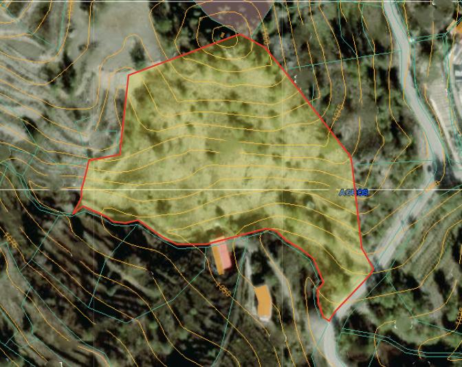 - Image 1