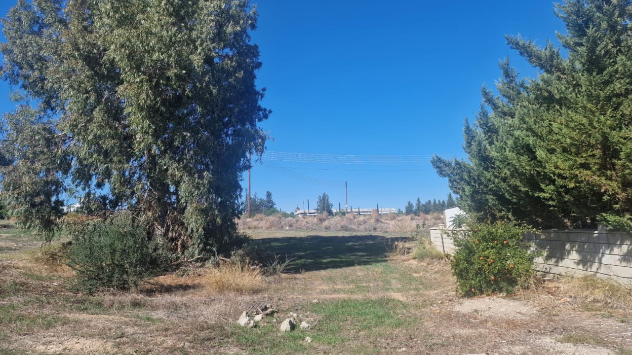 - Image 1