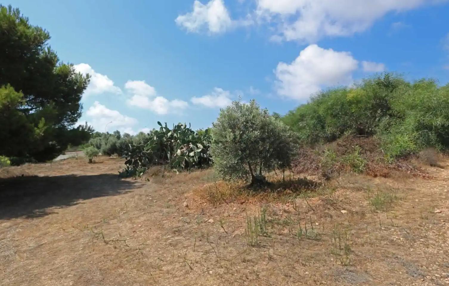  - Image 1