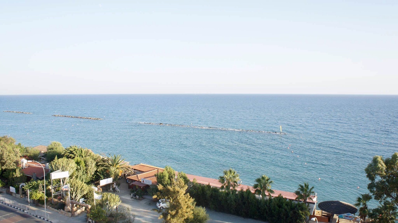 Coco De Mer