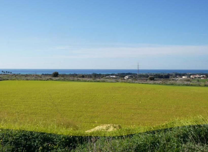  - Image 1