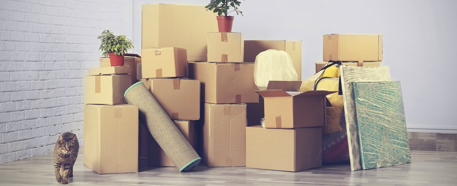 Moving to Cyprus: a cheap and easy way to move your stuff