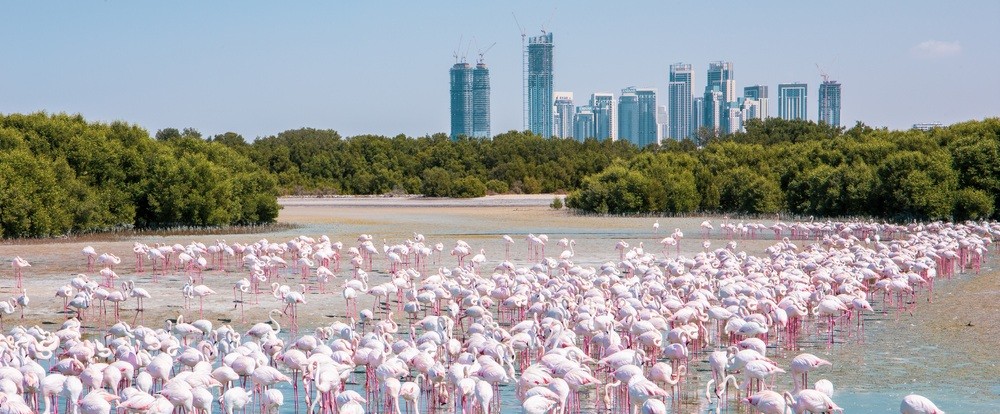 Hidden Treasures of the UAE: 7 UNESCO World Heritage Sites