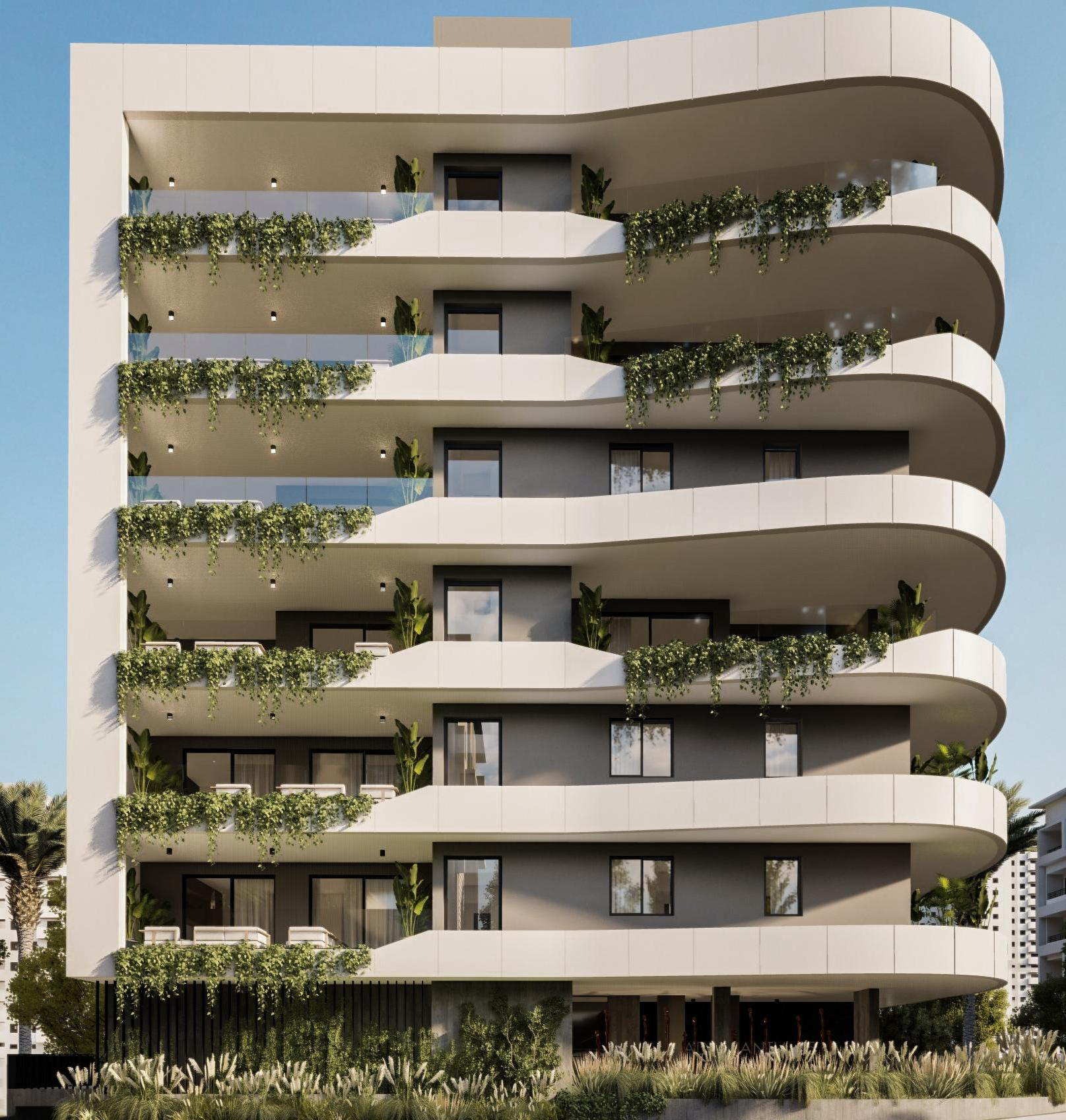 Property main