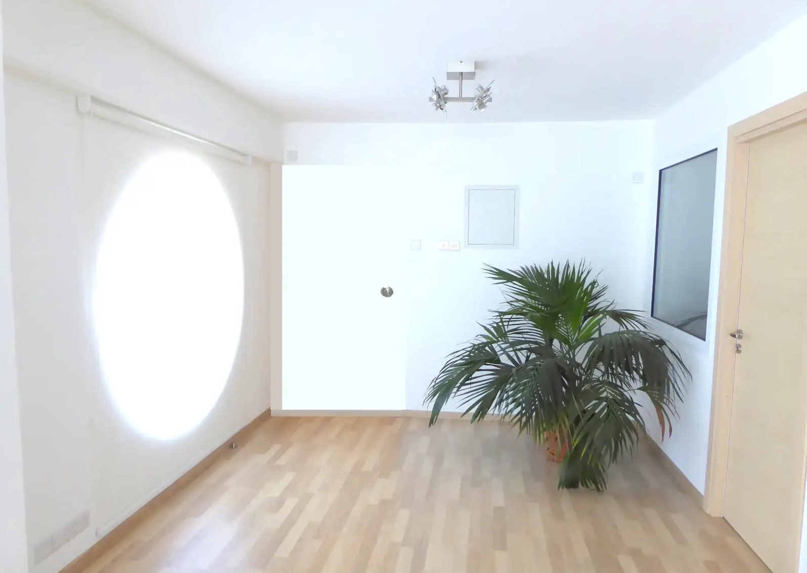 Property main
