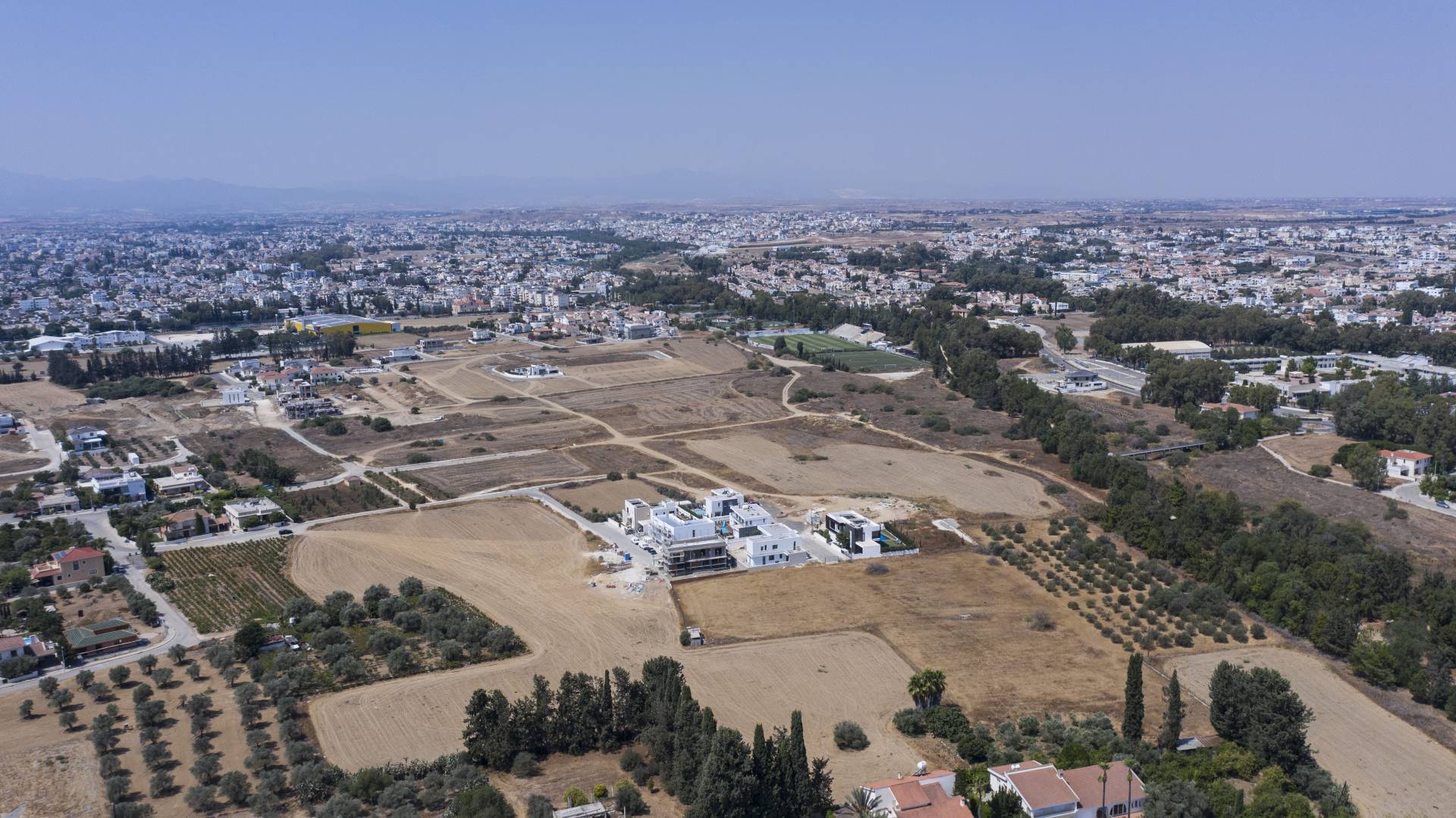 Eleonon