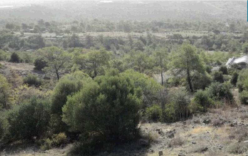  - Image 1