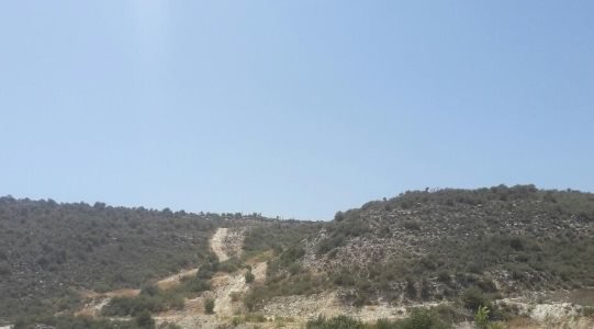 - Image 1