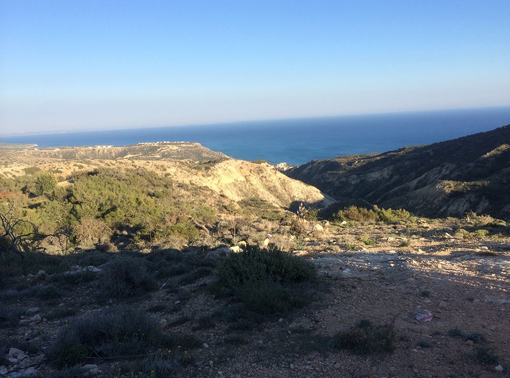 - Image 1