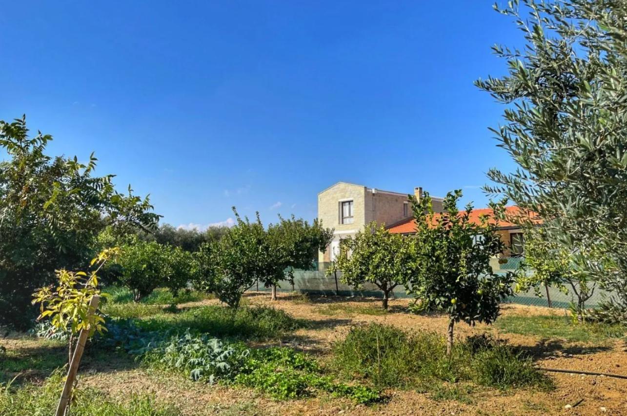 Orange Grove Maroni