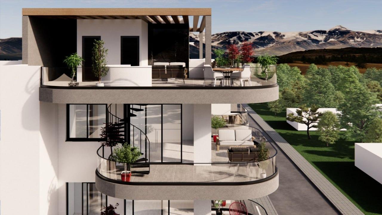 Palms 2