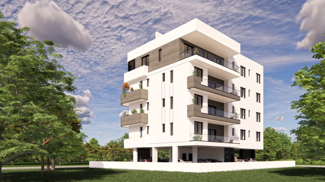 Palms 1