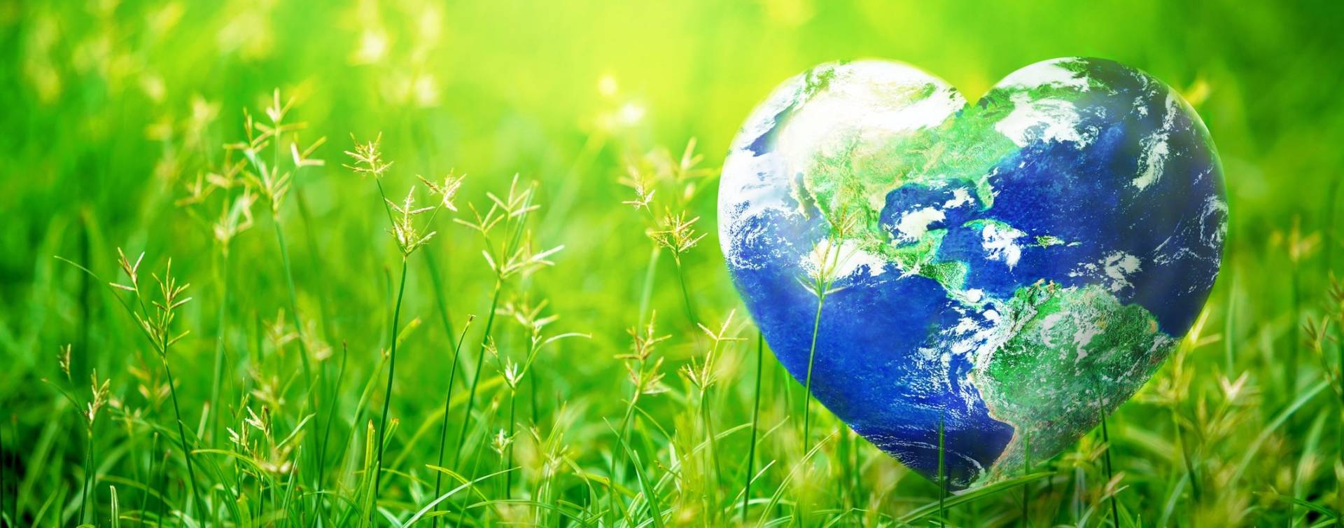 7 фактов об экологии на Кипре