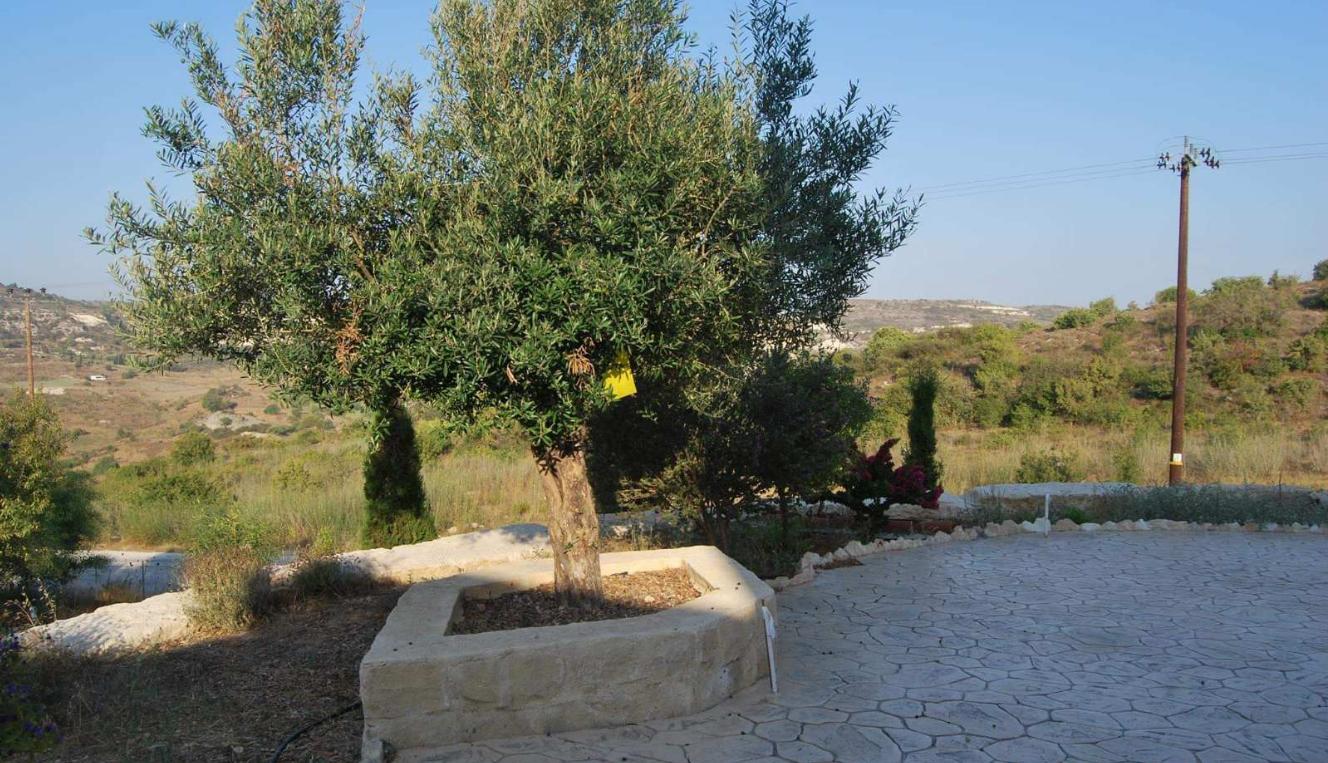 Property image 33