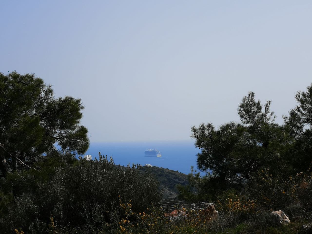 - Image 1
