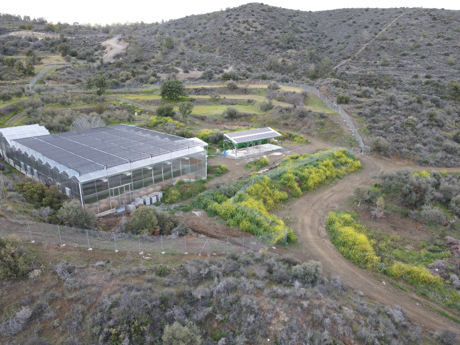 - Image 1