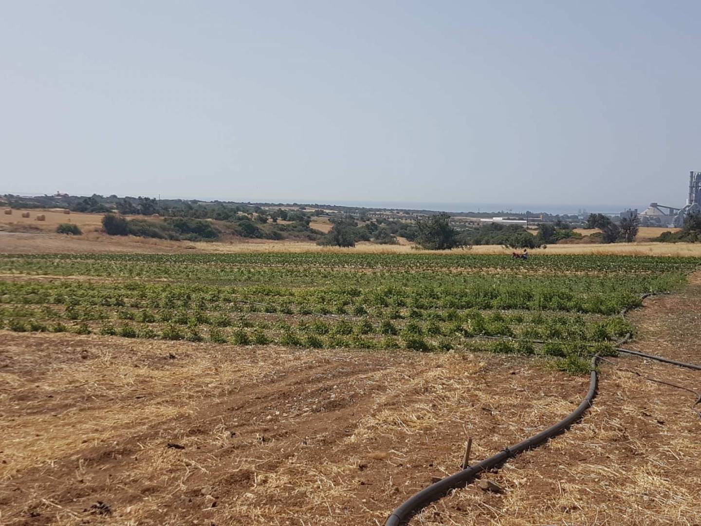  - Image 1