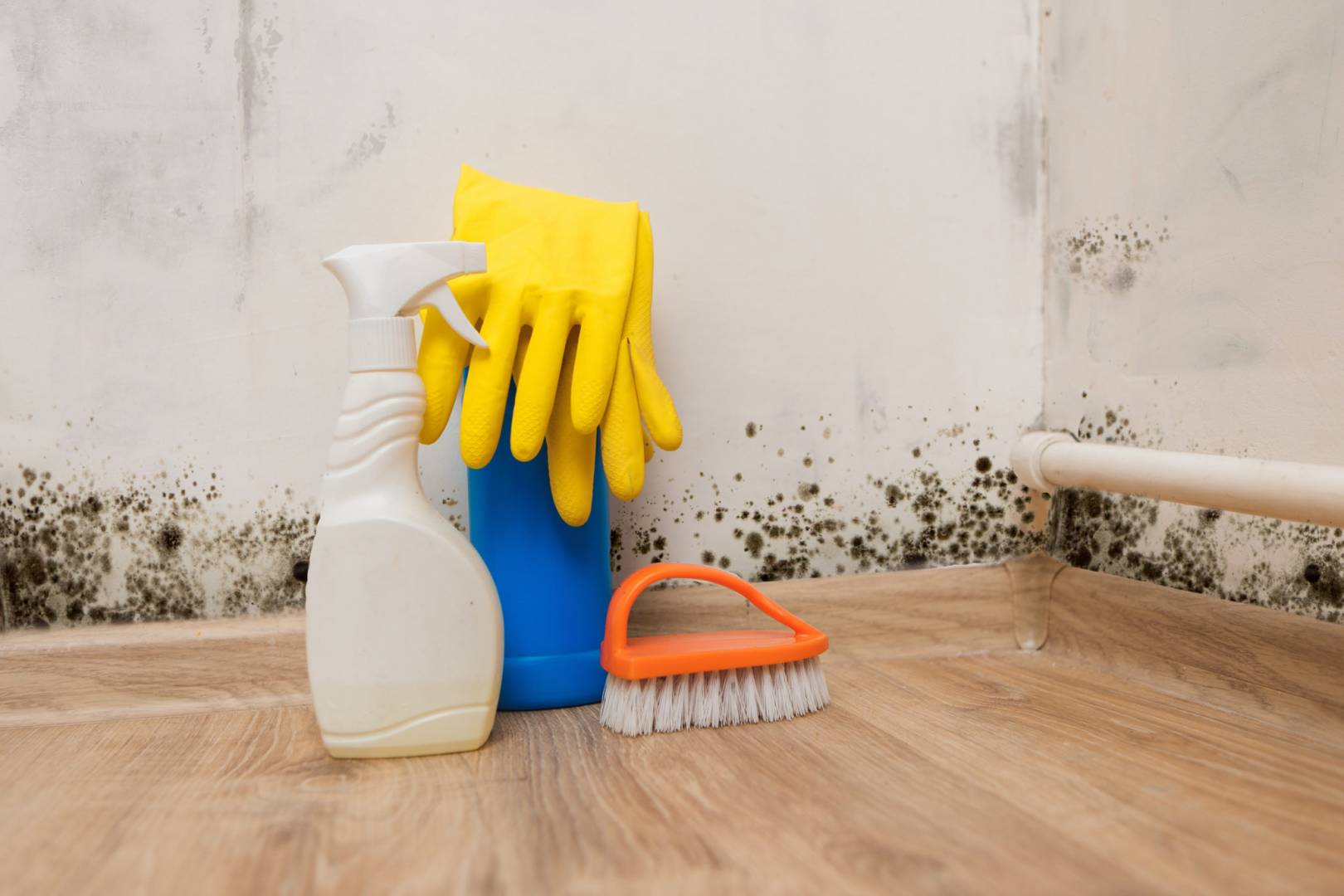 Humidity and mold in your Cyprus home