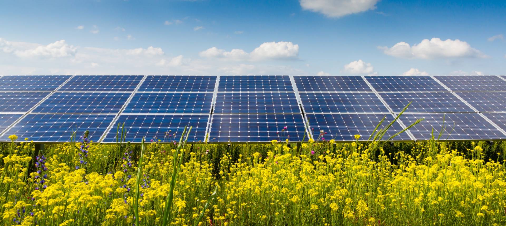 New photovoltaic park to be built in Larnaca