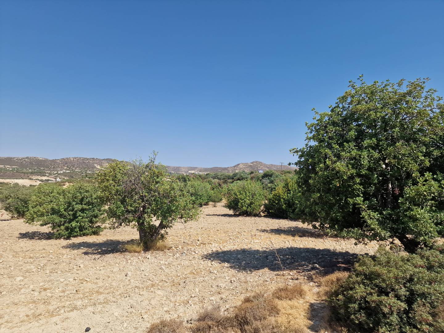 - Image 1