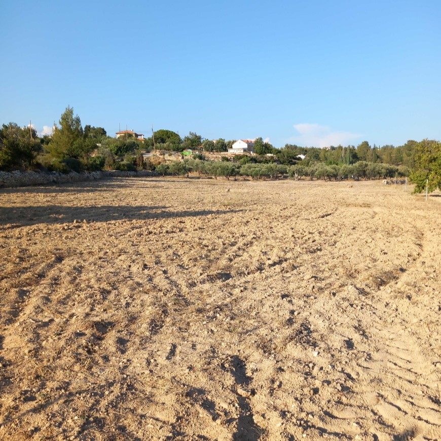 - Image 1