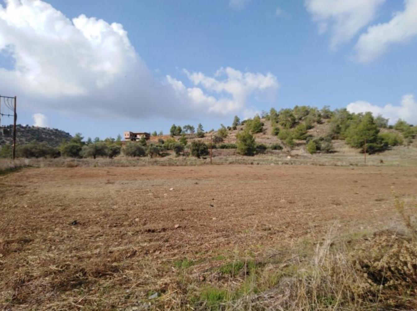 Eleonon Plots