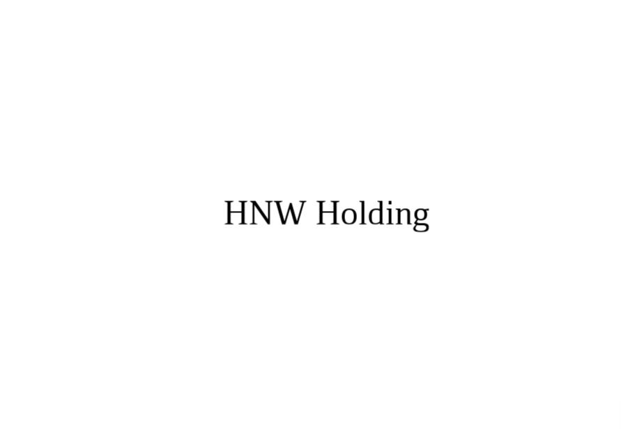 HNW Holding