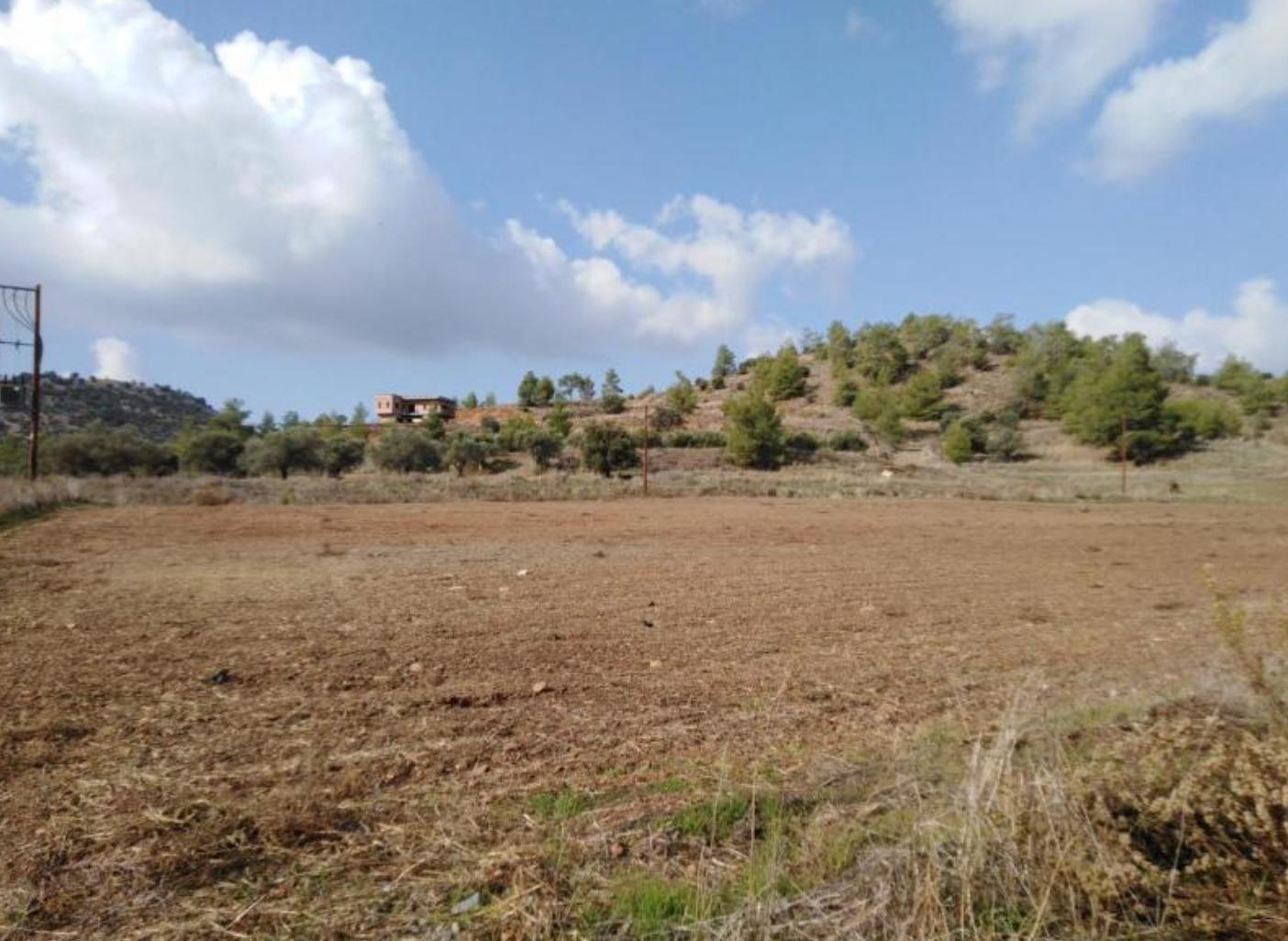 Eleonon Plots