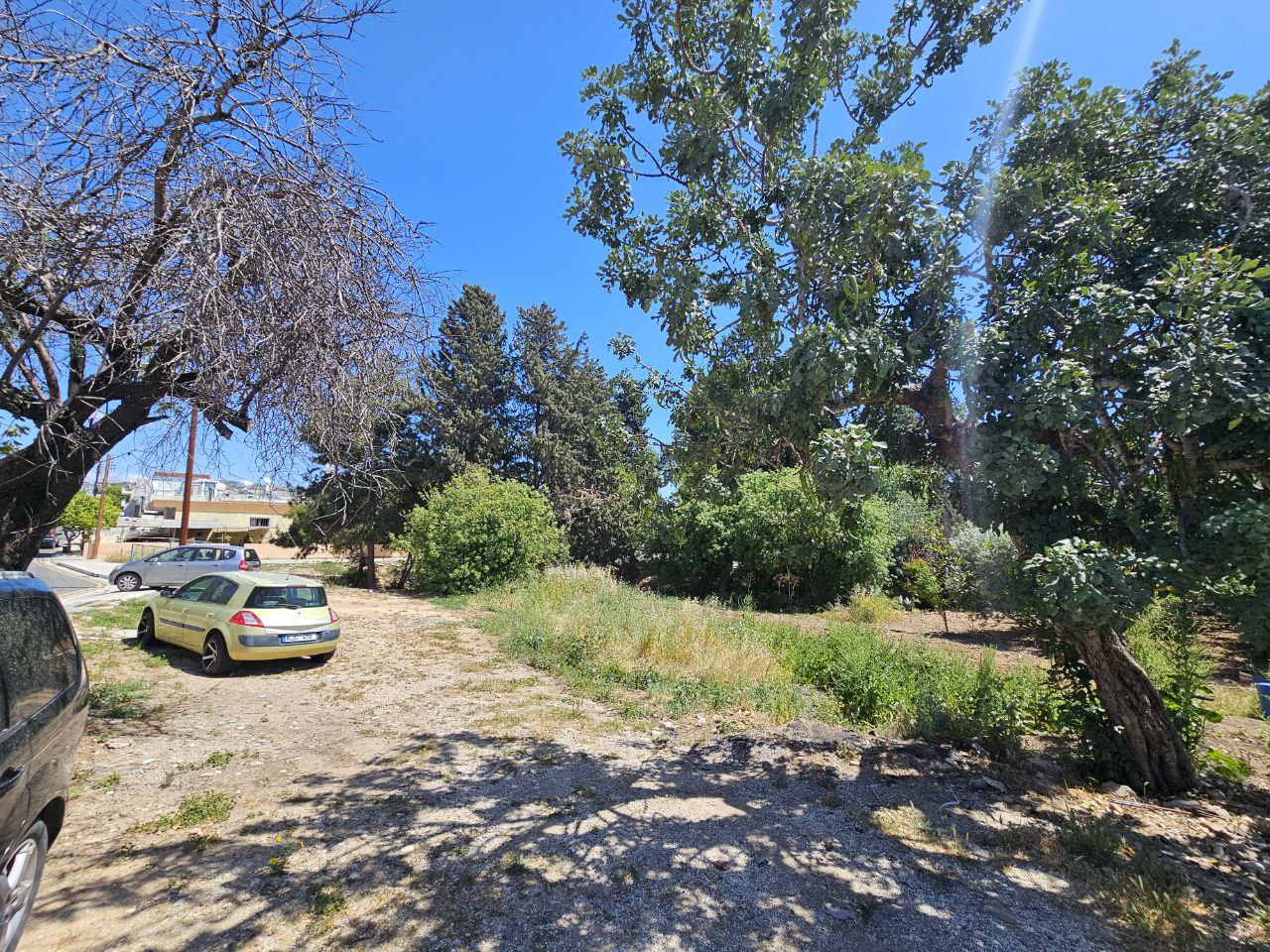  - Image 1