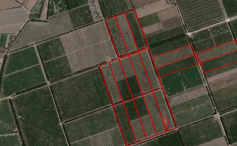  - Image 1