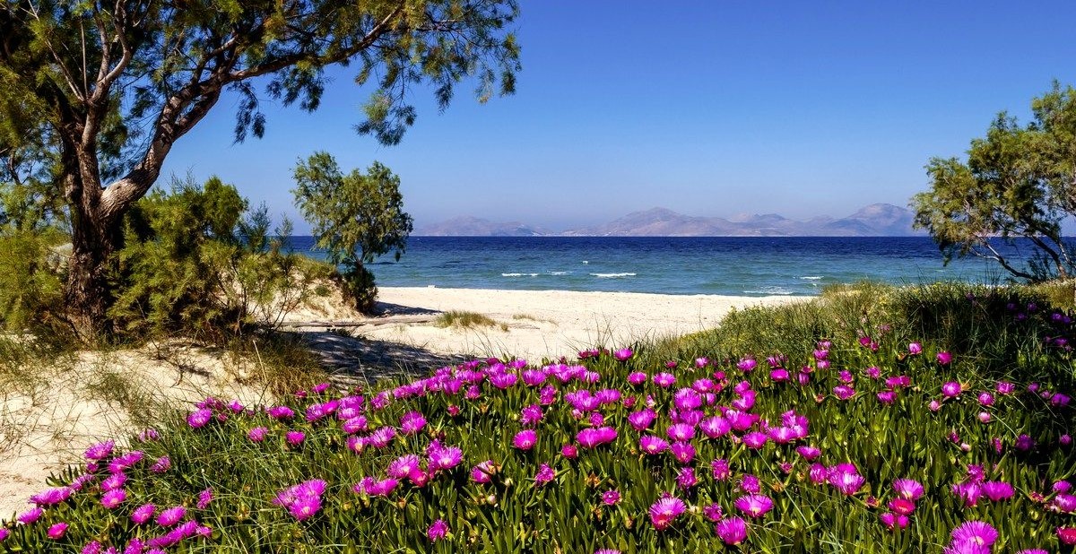 Natural charm of Cyprus