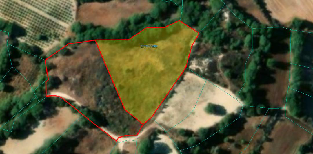 Property main