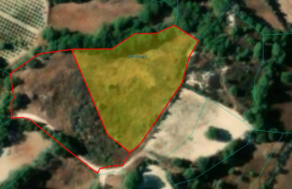 - Image 1