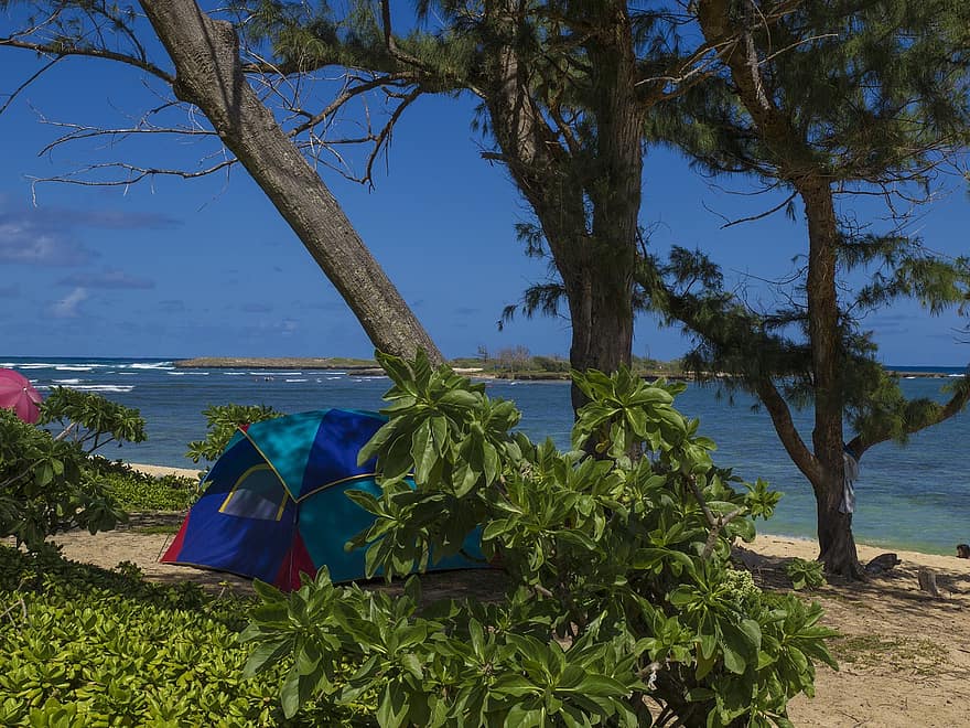 New camp site in Loutra will be ready in 2021