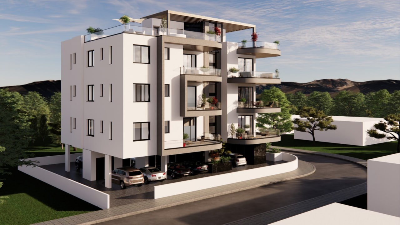 Palms 2