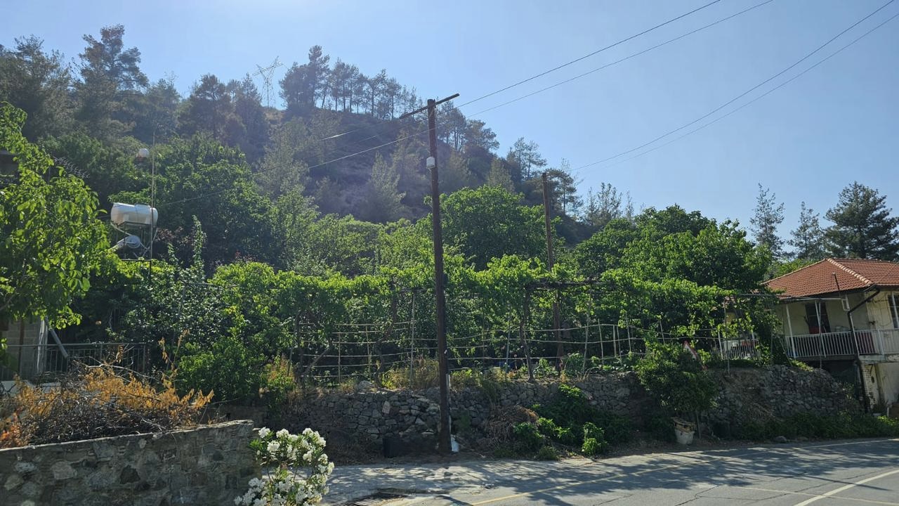  - Image 1