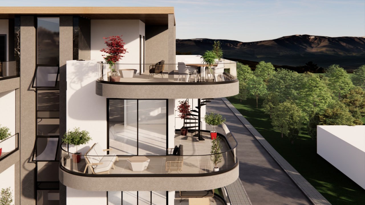 Palms 2