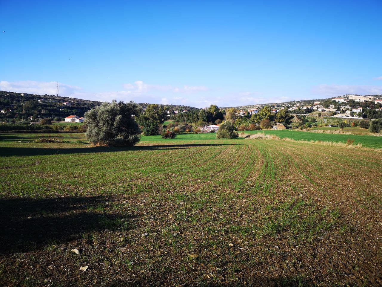  - Image 1